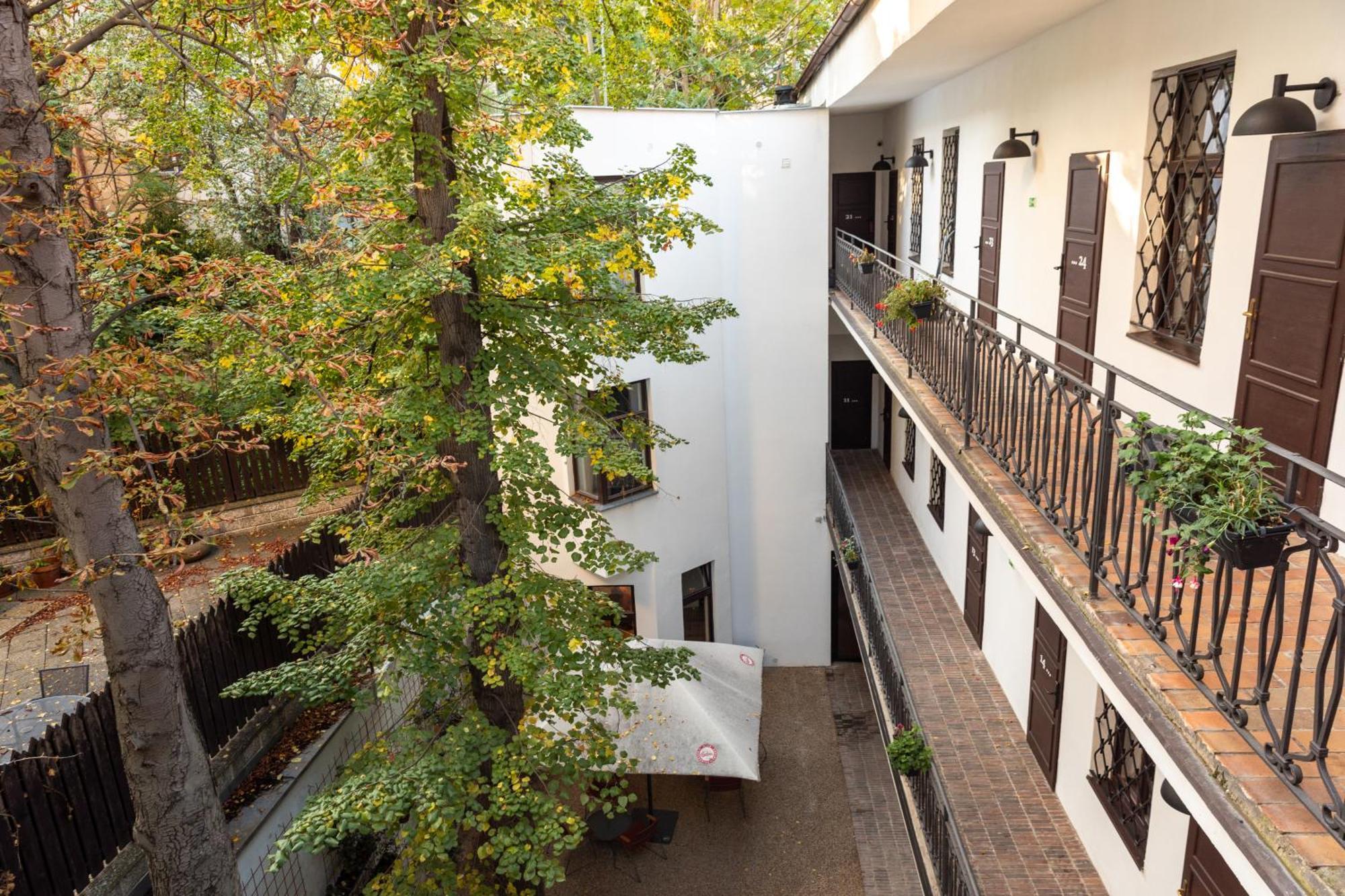 Sir Toby's Midtown Albergue